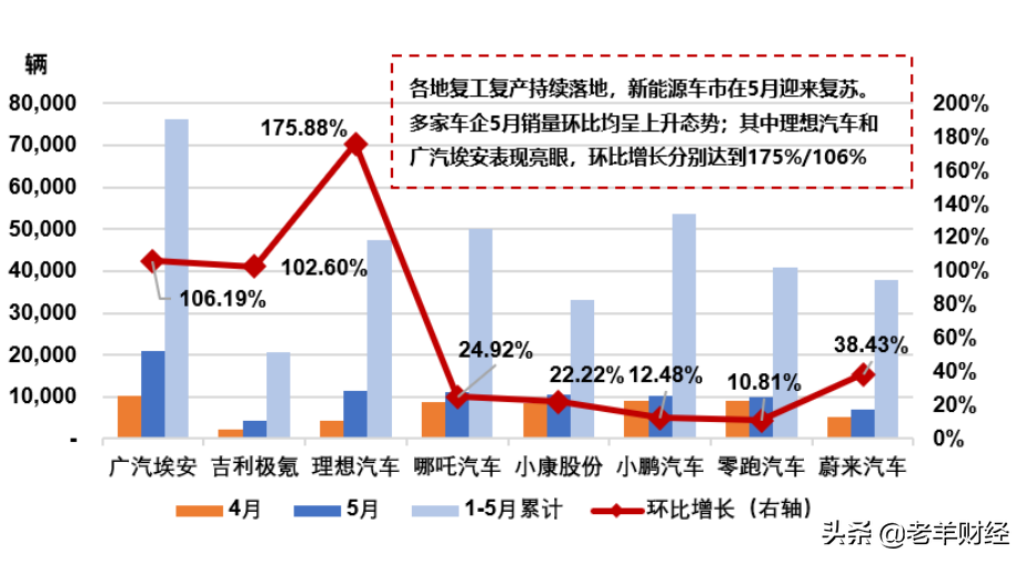 (新能源汽车股票)新能源汽车股票的未来是鲜花还是杂草?  第2张