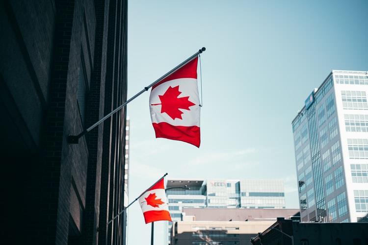 (加拿大移民申请)适合大部分国人申请的移民项目丨加拿大雇主担保移民  第2张