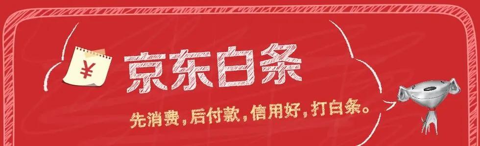 京东白条逾期，花钱容易，还钱难!京东白条逾期有何后果?  第1张