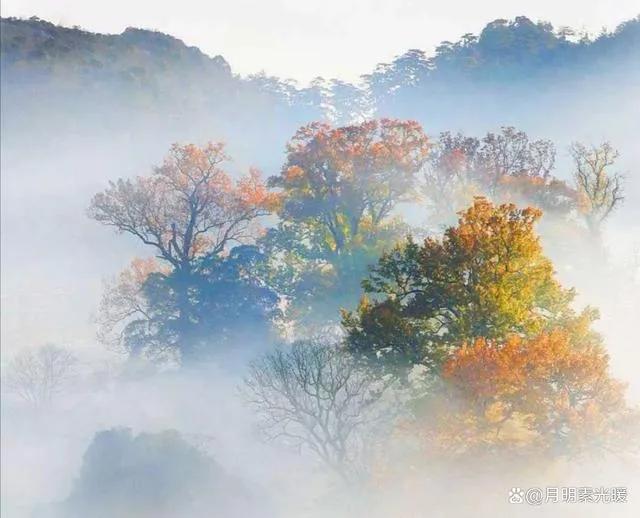 (持仓收益是什么意思)市场跌了，我的持仓收益一片绿色，但是我很欣喜  第7张