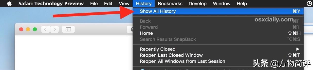 （清空了网页历史记录如何恢复）如何在Mac上恢复已删除的Safari历史记录  第4张