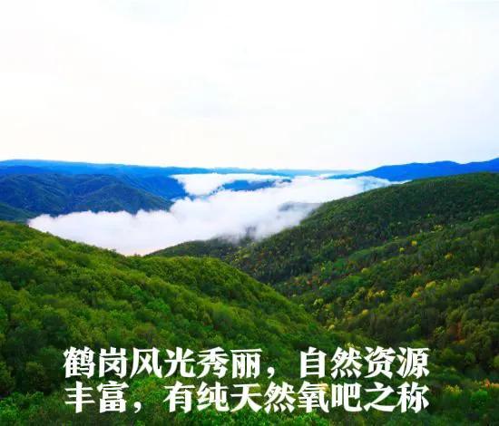 (鹤岗房价)鹤岗房价一万五!心潮澎湃要打住  第2张