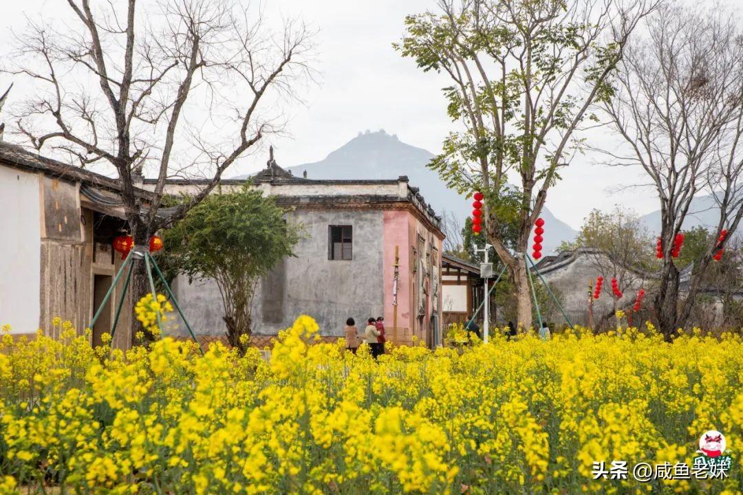 福州2号地铁站所有的站点 福州最新地铁周边景点攻略来了，1、2、5、6号线全都有!  第16张