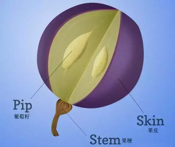 (红酒单宁什么意思啊)不懂单宁，你怎么好意思说懂红酒  第4张