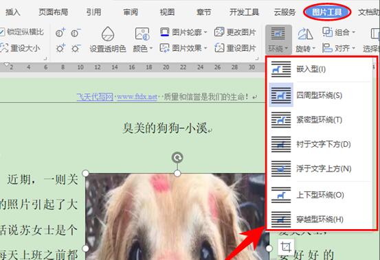 (wps文字环绕图片怎么设置)WPS文字技巧—如何快速实现图文混排  第1张