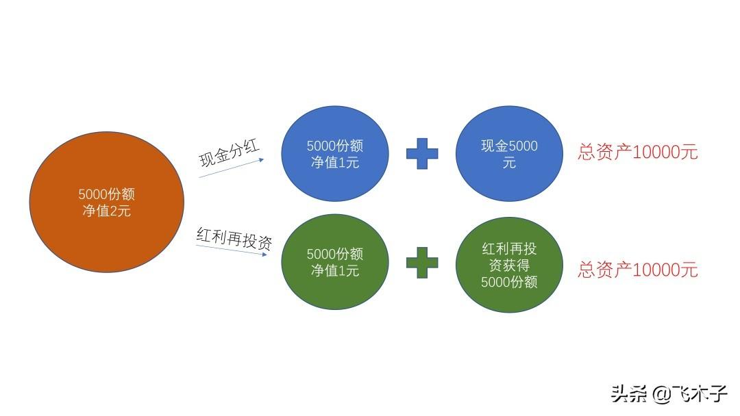 基金分红多久一次，现金分红和红利再投资对基金有什么影响  第3张