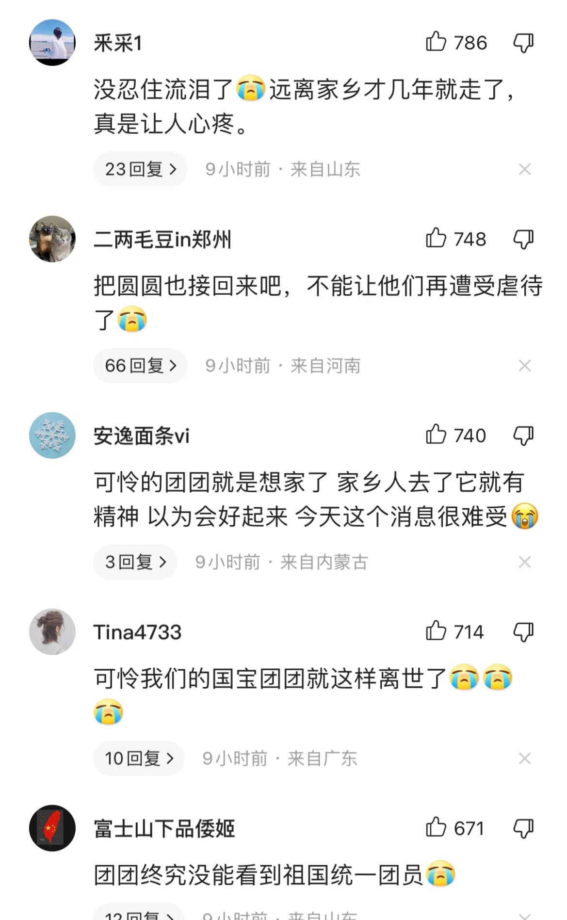 (大熊猫寿命)担负使命，不虚此生，大熊猫团团去了天国  第7张