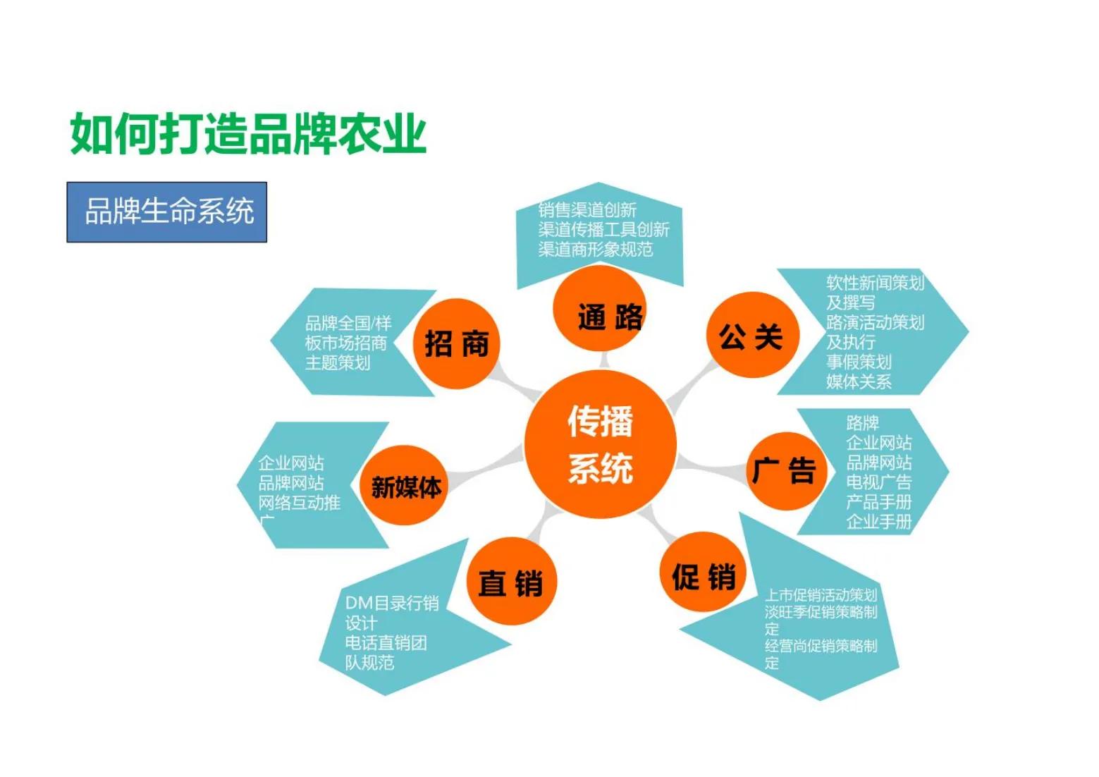 (新型农业创业项目)农业创业新项目全案(138页PPT)  第10张