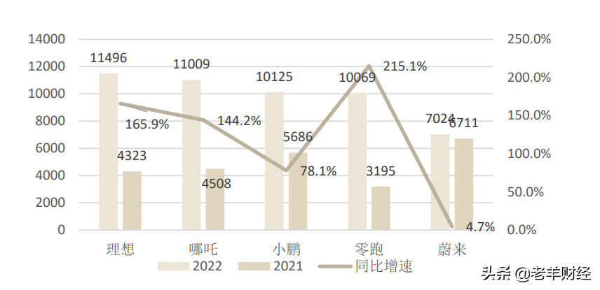 (新能源汽车股票)新能源汽车股票的未来是鲜花还是杂草?  第3张