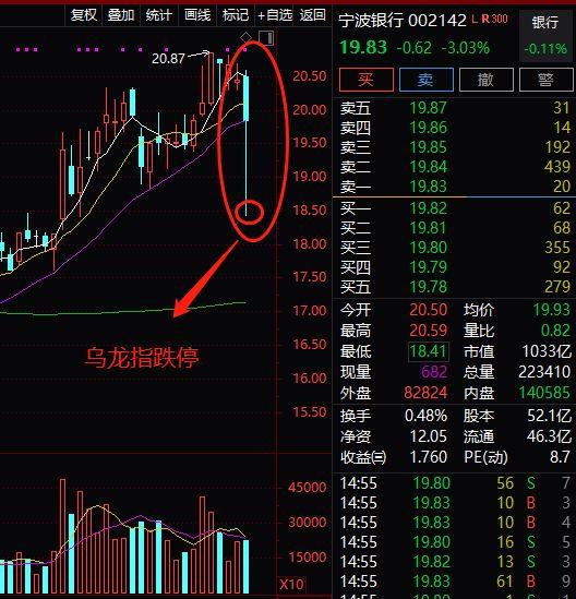 (大盘跌停)两天暴跌1.92万亿，3000点再度失守!有银行瞬间跌停，大盘已破位，A股反弹结束了?机构这么说  第7张