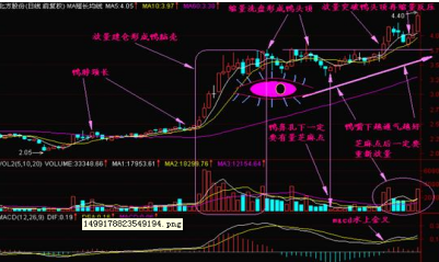 (老鸭头k线图)老鸭头形态最新一文讲透成功率极高“老鸭头”K线牛股战法，高效实用，一旦遇上就应该果断入手!  第4张