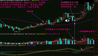 (老鸭头k线图)老鸭头形态最新一文讲透成功率极高“老鸭头”K线牛股战法，高效实用，一旦遇上就应该果断入手!  第5张