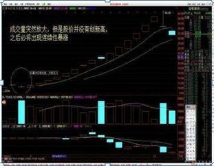 (股票入门基础知识)股票入门基础知识:简单实用的股票操作方法，教你用最“笨”的方法赚钱  第5张