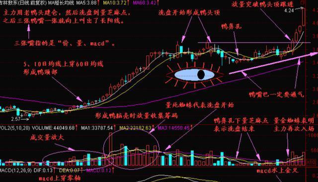 (多方炮)中国“捡钱”时代已来临:如果有20万资金，就试试“多方炮”不败战法(附选股公式)，或将赚到怀疑人生  第9张