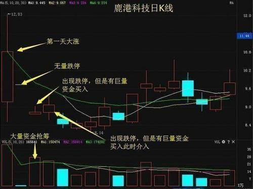 成交量指标，多数股民认同的最为之真是的指标——成交量，实战图解成交量选股攻略  第4张