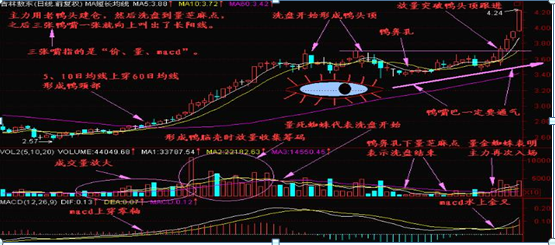 (老鸭头选股公式)一位10年金融界大佬:简单实用的“老鸭头”战法+选股器选股公式，喜欢的直接抱走，堪称股市“最强战法”  第1张