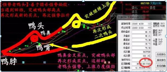 (老鸭头选股公式)一位10年金融界大佬:简单实用的“老鸭头”战法+选股器选股公式，喜欢的直接抱走，堪称股市“最强战法”  第3张