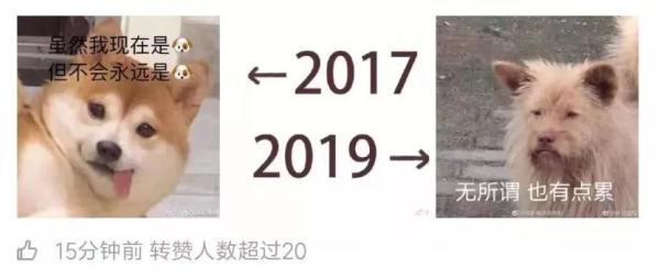 梗是什么 2017-2019近日刷爆朋友圈!这到底是什么梗?  第12张