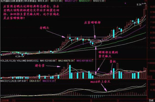 股票放量，很多人都不懂得成交量，难怪总被洗出局!当我分清“缩量上涨”和“放量上涨”，踏准股票调整后的主升浪  第10张