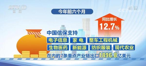 出口保险，中国经济半年报|短期出口信用保险支持中小微企业14万家  第2张