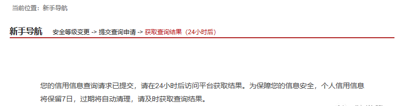 (个人征信怎么查询)个人征信报告查询指南  第11张