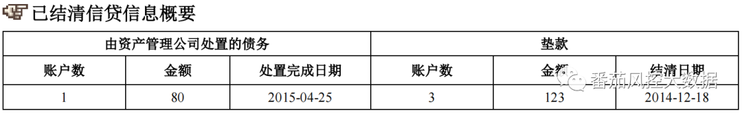 (征信报告)企业人行征信报告的全面梳理与数据介绍  第6张