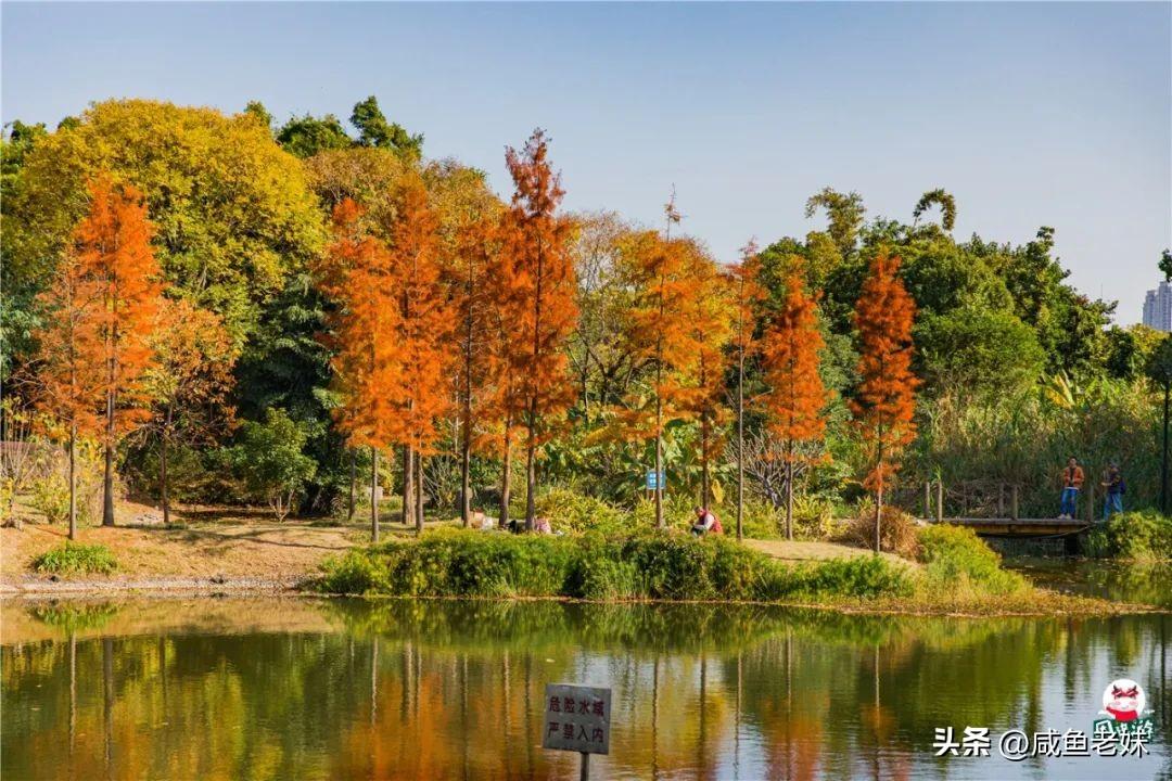 福州2号地铁站所有的站点 福州最新地铁周边景点攻略来了，1、2、5、6号线全都有!  第32张