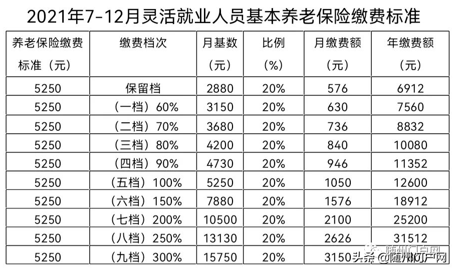(楚税通交养老保险)曾都区灵活就业人员养老保险申报缴费须知  第2张