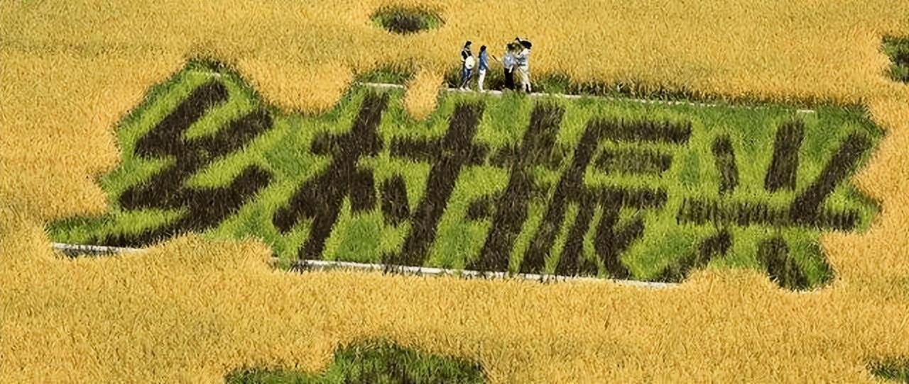 (回乡创业有哪些项目)“返乡创业青年”有哪些项目可以做?  第2张