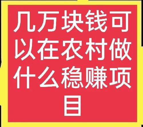 (国家扶持农村办厂创业项目)投资几万块钱在农村创业，哪些项目比较合适呢?  第1张