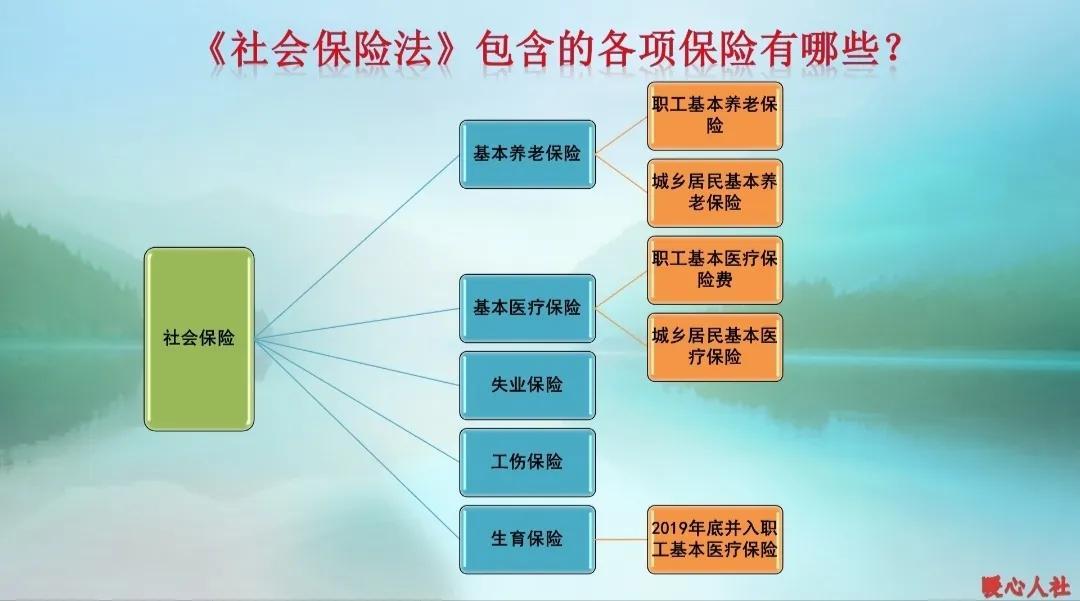 (个人社保和公司交社保有什么区别)公司缴纳社保和个人缴纳社保有这七点不同，看看你都错过了什么?  第1张