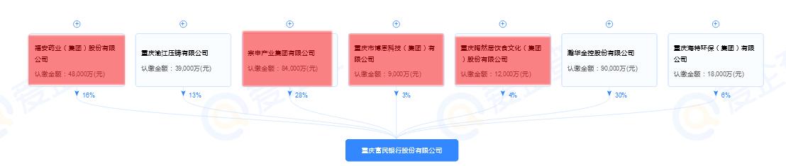 银行存款:厉害了，重庆的这家民营银行(民营银行有哪几家)  第3张