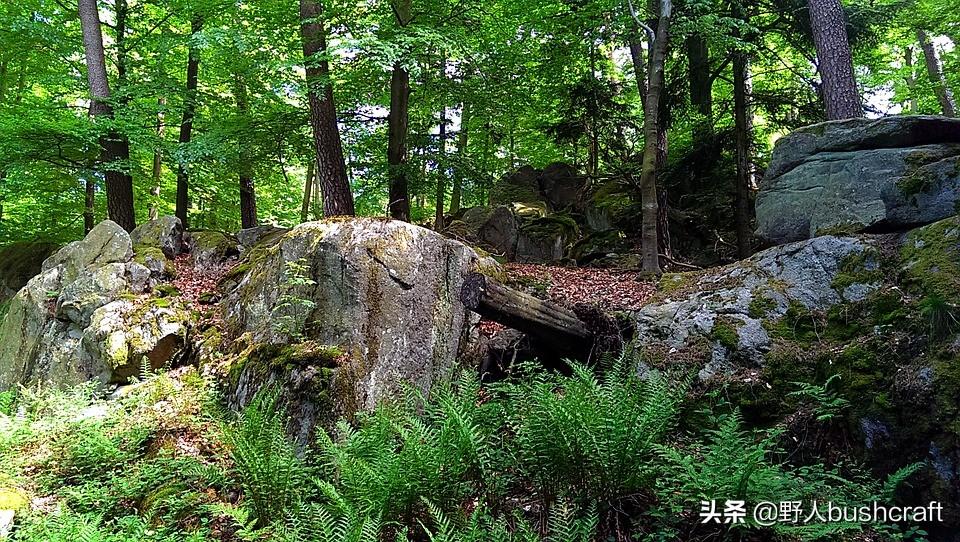 （sos是什么缩写）野外被困如何有效的使用sos，看看国外生存狂人都在用的stop原则  第6张