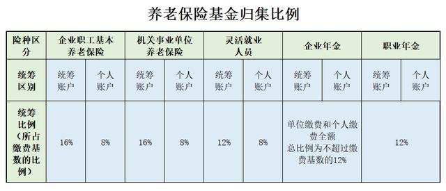 (养老保险比例)养老保险的缴费比例、基金归集比例、转移比例你知道吗?  第7张