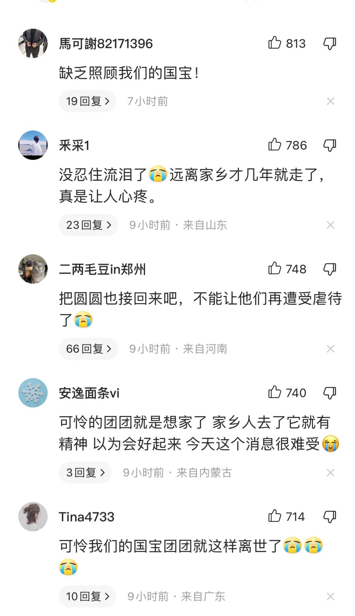 (大熊猫寿命)担负使命，不虚此生，大熊猫团团去了天国  第6张