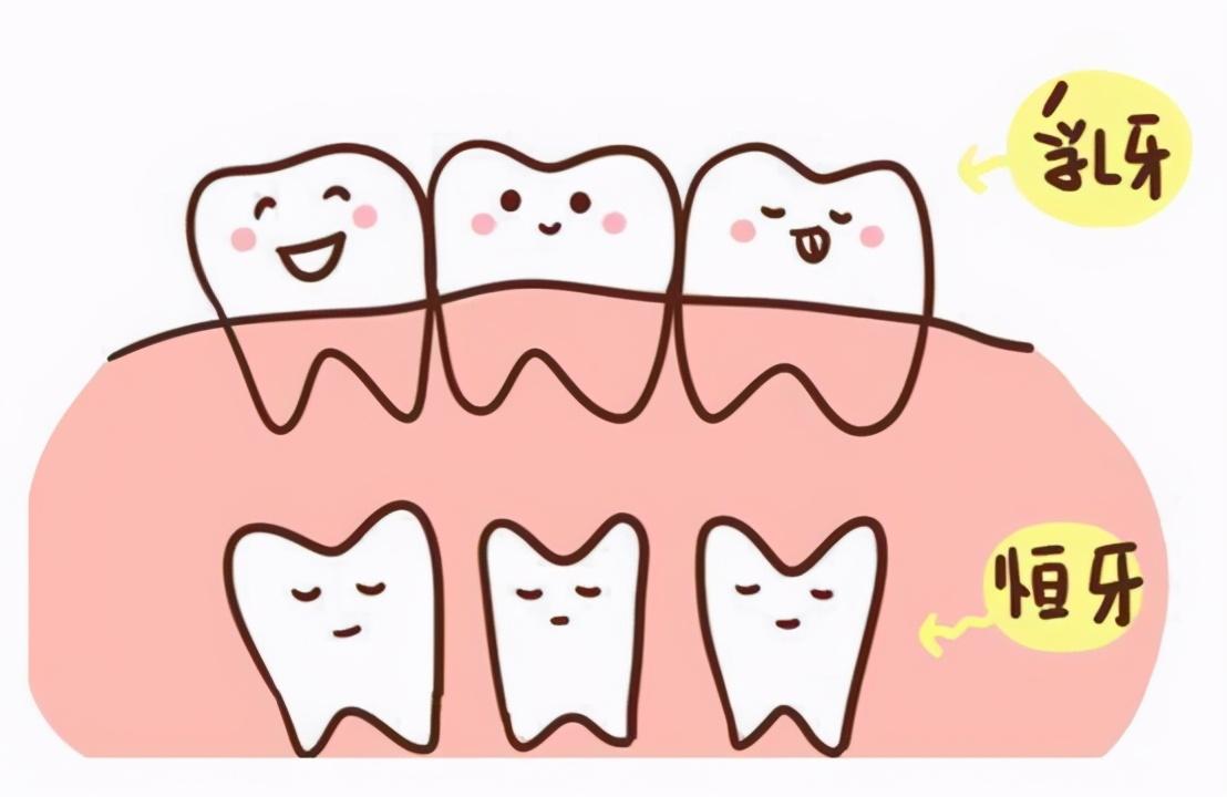 （乳牙大牙会换吗）乳牙都会换，提前掉几颗有关系吗?医生:有关系的  第1张