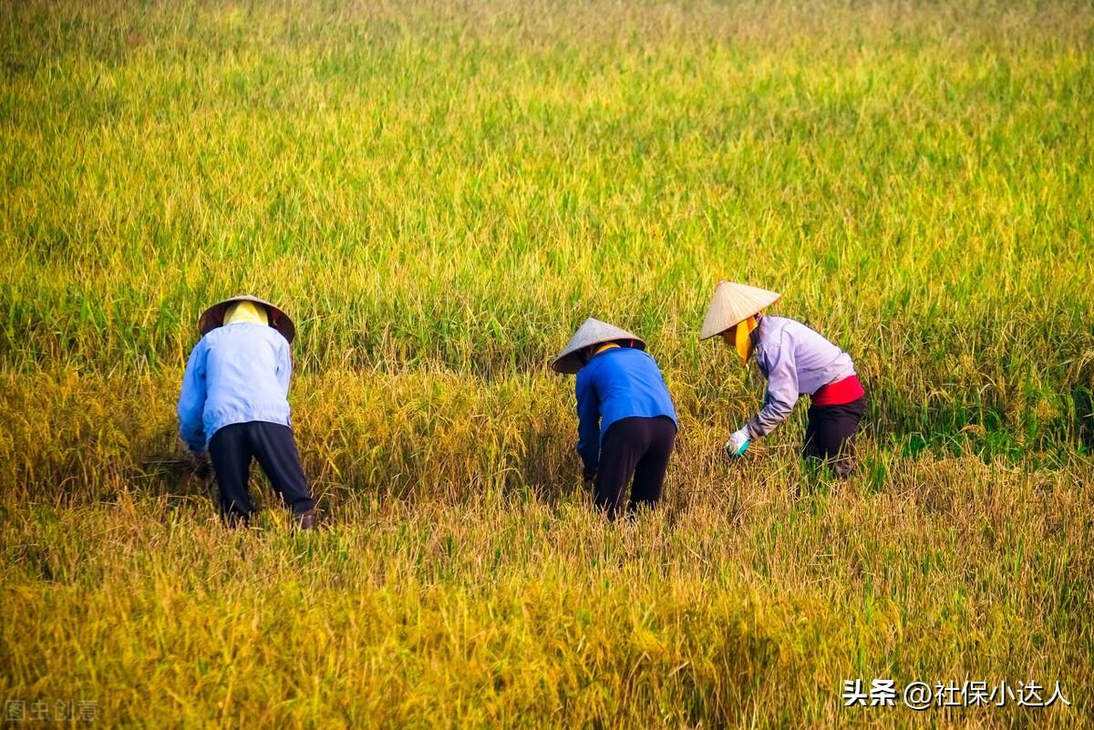 (退休待遇)60岁以上农民一律享受退休待遇，统一每人每月发1000元，可行吗?  第2张