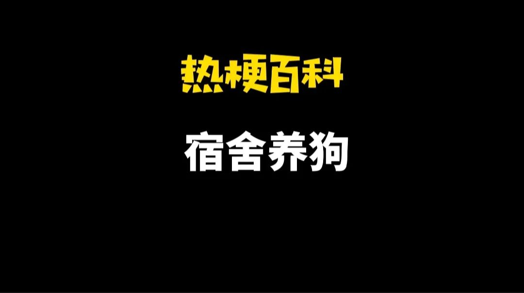 细狗是什么梗 「热梗百科」“​宿舍养狗”是什么梗?  第2张