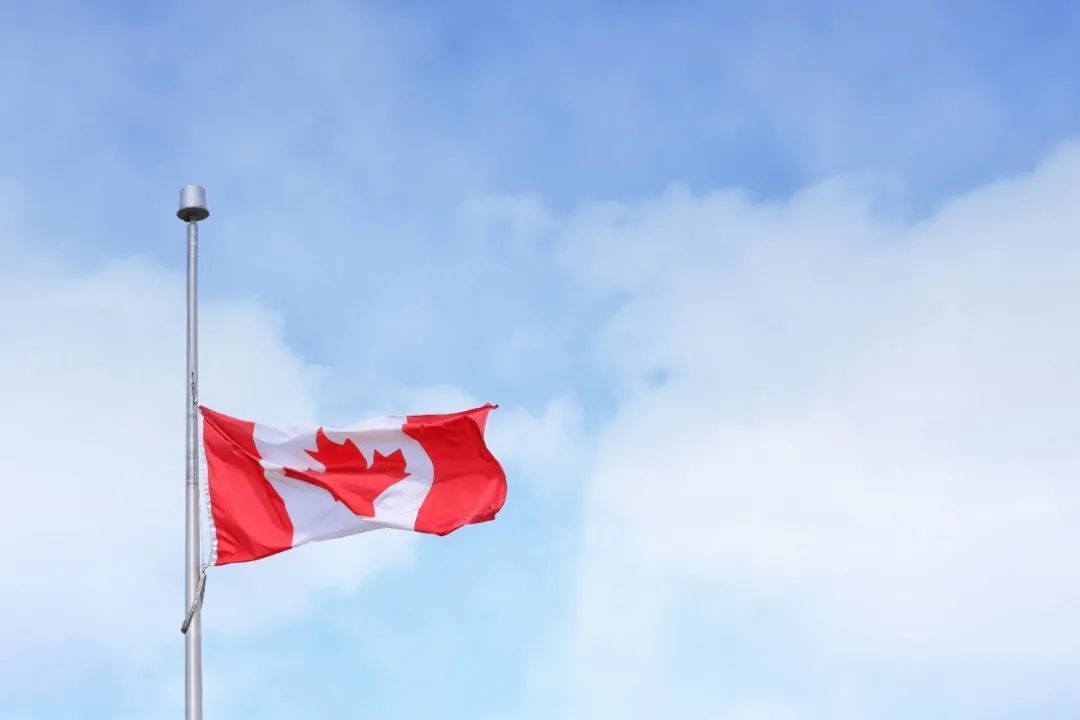 (22万加币加拿大移民)重磅!加拿大官方宣布2022移民指标41万!留学生将是主力军  第6张