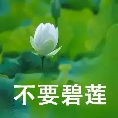 表情包:皇帝驾到（皇帝驾到）  第3张