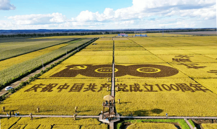 (回乡创业有哪些项目)“返乡创业青年”有哪些项目可以做?  第1张