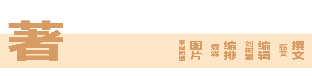 (无醇红酒)既然选择「无醇酒」，就不要抱怨它不醉人了  第12张