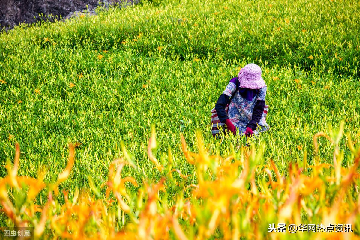 (许昕个人资料)许昕樊振东获男双冠军?樊振东个人资料家庭背景?樊振东女友是谁  第17张