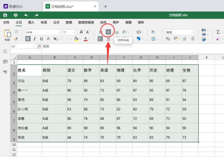 (wps表格居中怎么弄正中间)Excel表格文字居中怎么设置  第3张