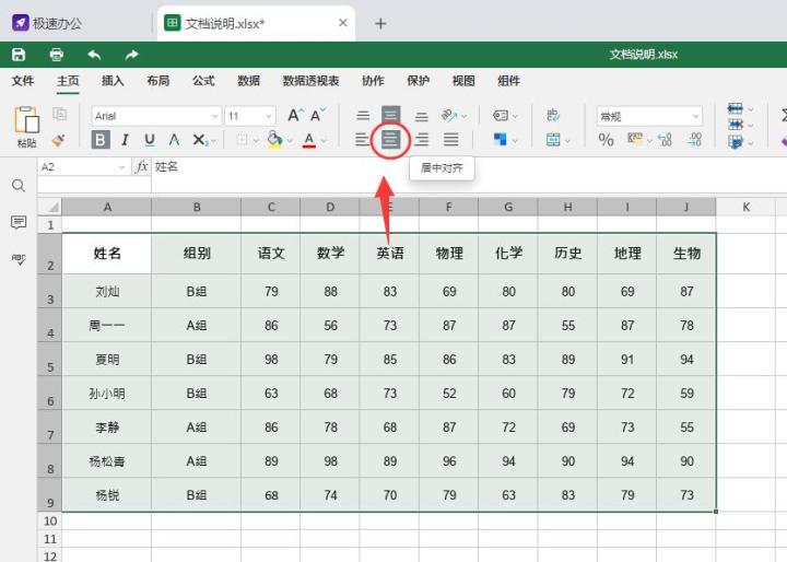 (wps表格居中怎么弄正中间)Excel表格文字居中怎么设置  第4张