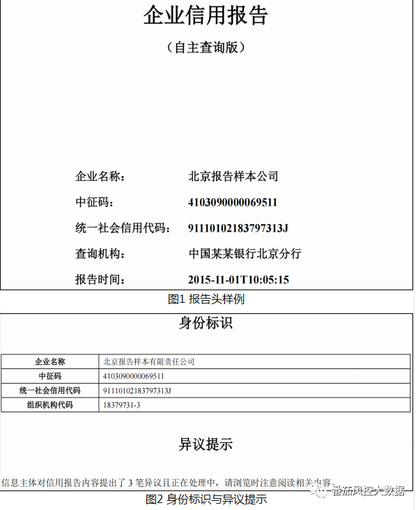 (征信报告)企业人行征信报告的全面梳理与数据介绍  第1张