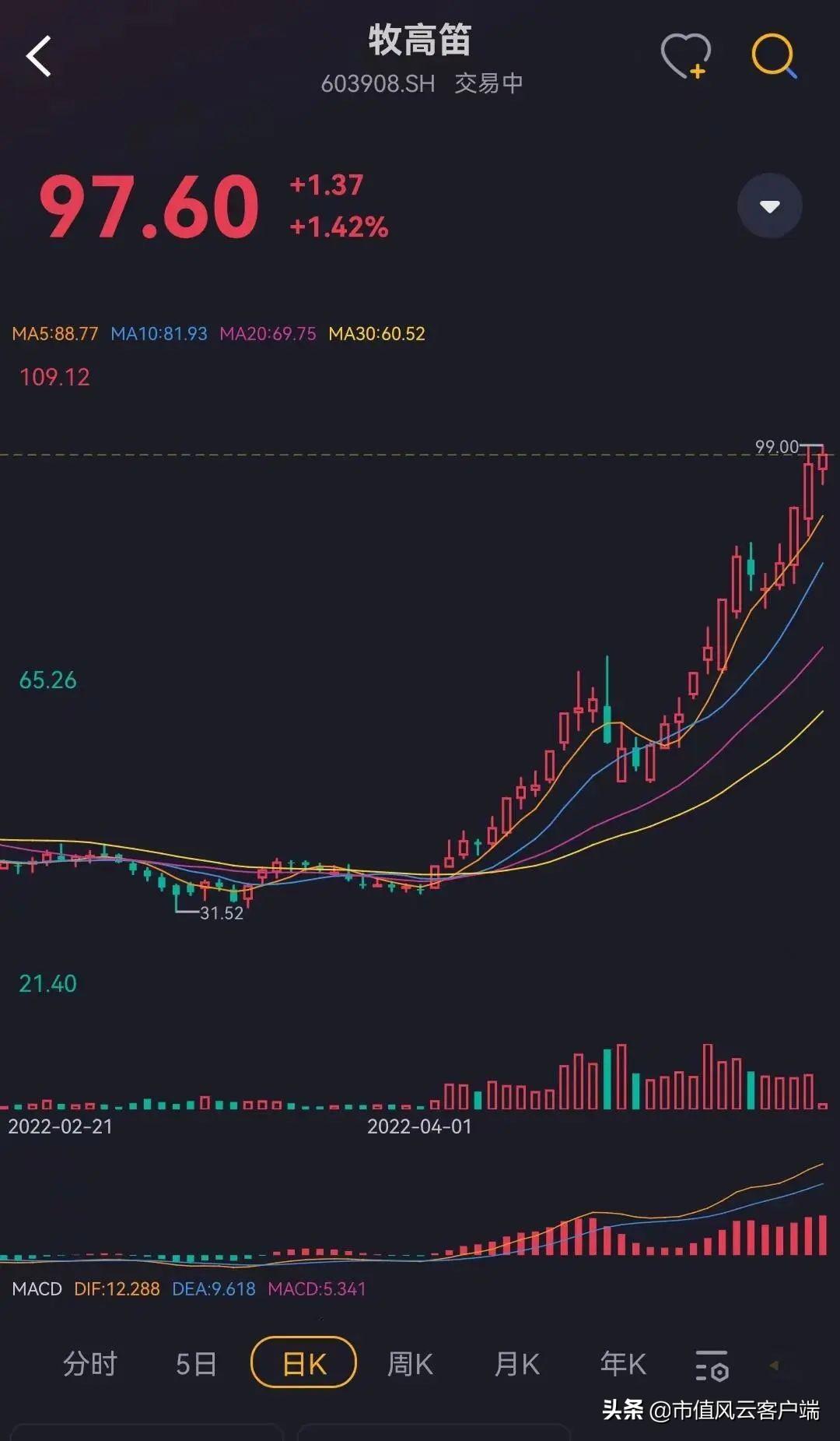 （牧高笛是哪个档次）27天暴涨两倍,"整个朋友圈都在露营":牧高笛,能成为露营之王吗?  第5张