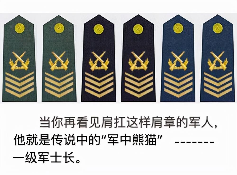 (一级士官退伍费是多少)中国兵王一级军士长到底有多少?享受专属待遇，还能不能再晋升?  第8张