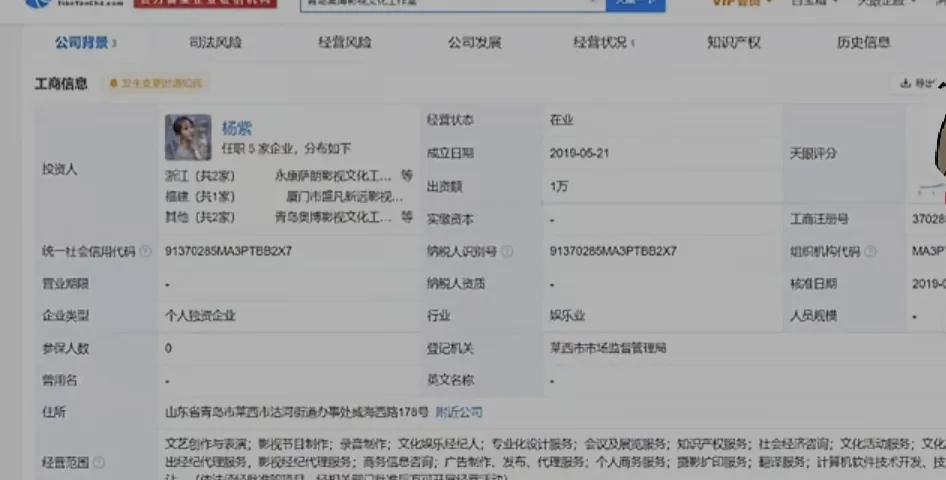 杨紫身价，杨紫半年为公司赚5000万30岁身价过亿买下古董豪宅  第2张