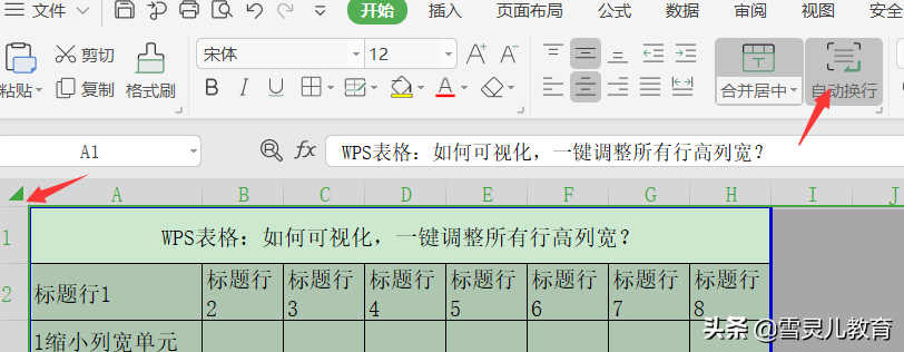 (wps表格如何设置列宽和行高)WPS表格:如何可视化,一键调整所有行高列宽? 第5张 (wps表格如何设置列宽和行高)WPS表格:如何可视化,一键调整所有行高列宽? 第5张